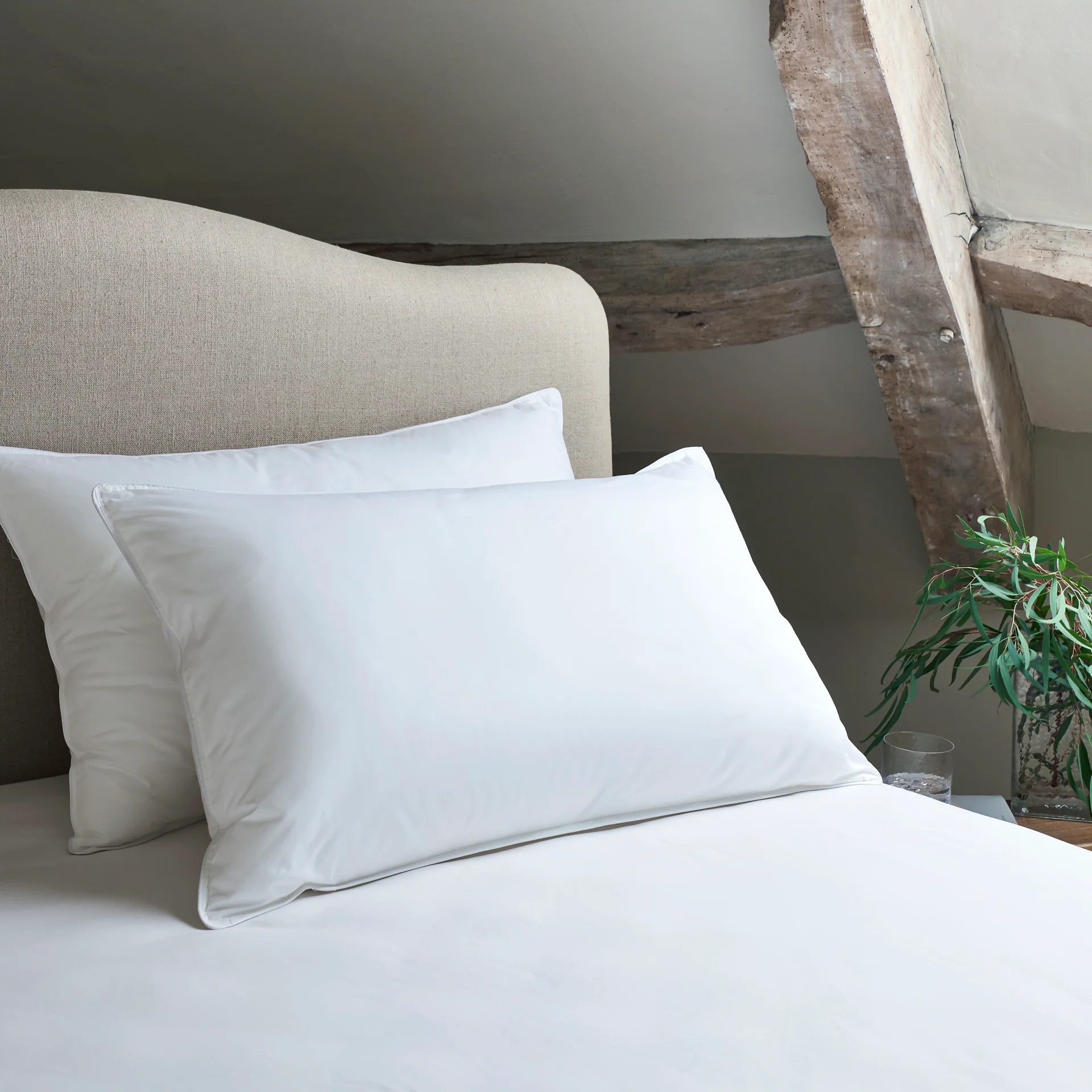 Cloud Loft Standard Pillow Pair - Image 3