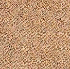 Serene Towels - Image 16