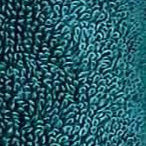 Supreme Refresh Bundle - Image 15